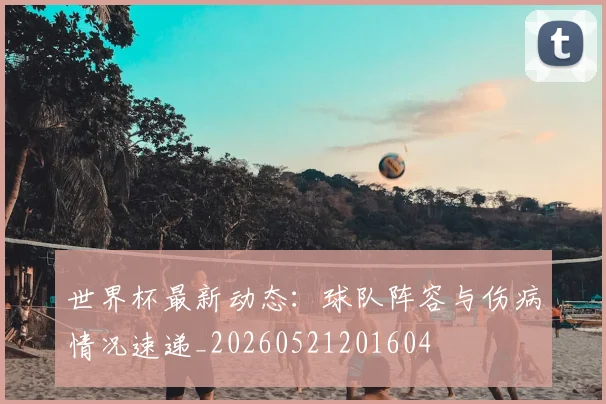 世界杯最新动态:球队阵容与伤病情况速递_20260521201604