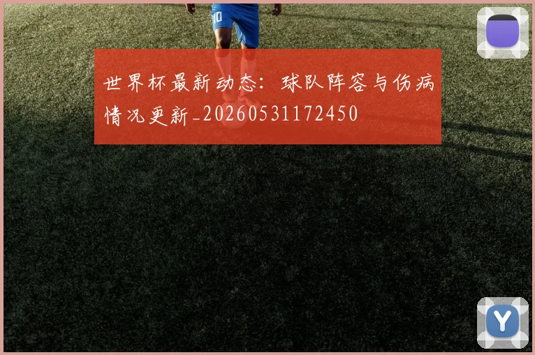 世界杯最新动态：球队阵容与伤病情况更新_20260531172450